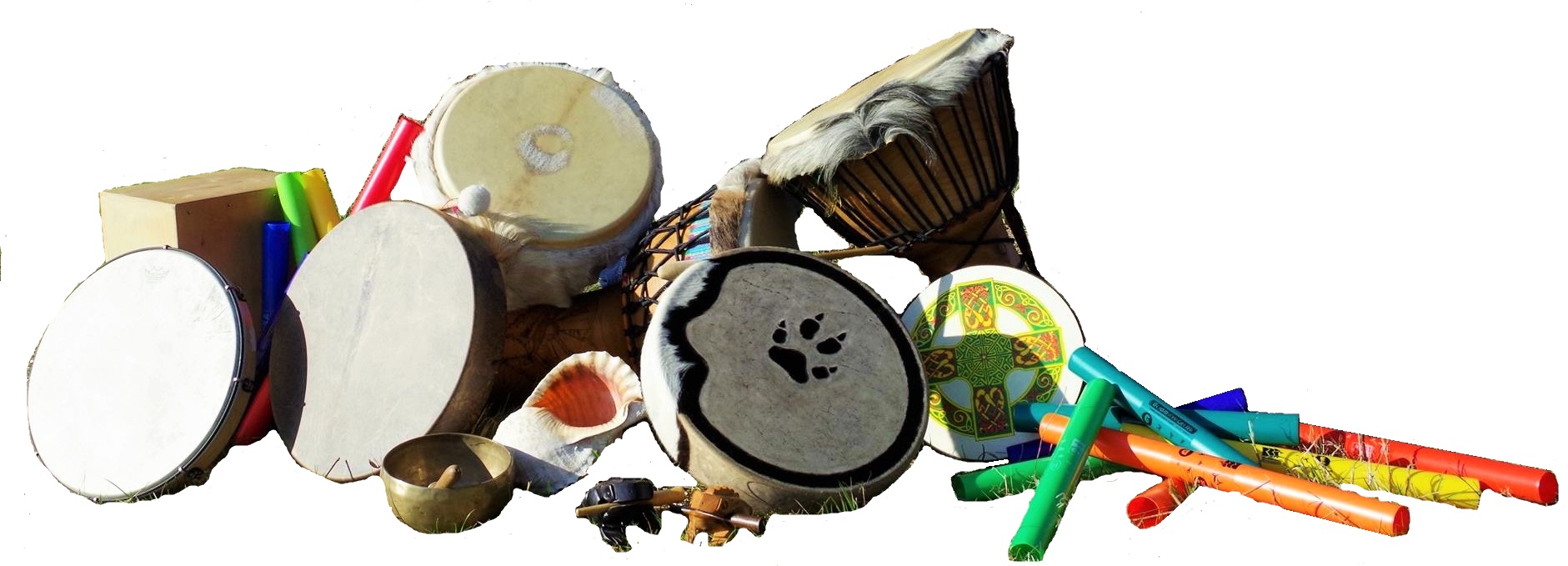 photo percuson instruments